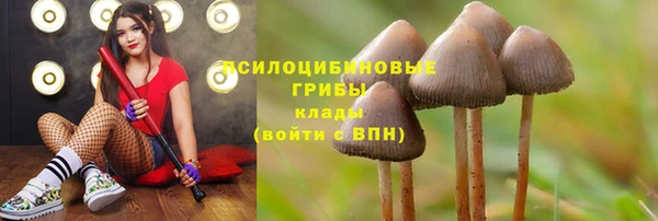 ешки Алзамай