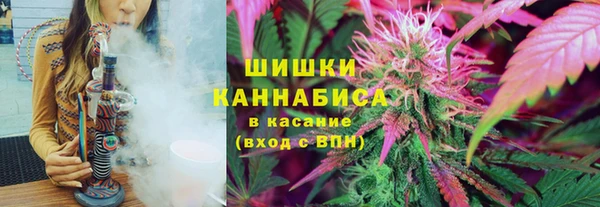 ешки Алзамай