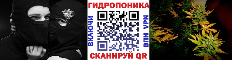 Бошки Шишки SATIVA & INDICA  Купить где  Дыгулыбгей 